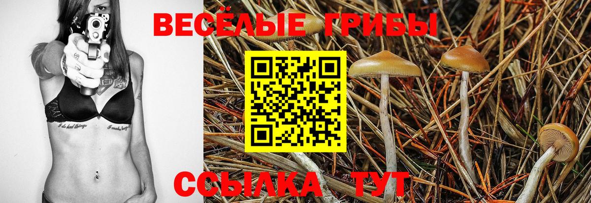Галлюциногенные грибы Cubensis  Вход с VPN  Изобильный 